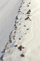 Schnee nach Schneefall foto