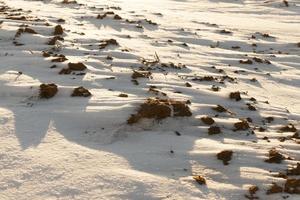 Schneeverwehungen im Winter foto