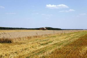 Erntemaschine auf dem Feld foto