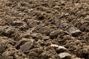 gepflügtes landwirtschaftliches Feld foto