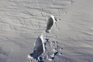 Schritte im Schnee foto