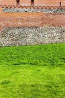 Gras an der Festung foto