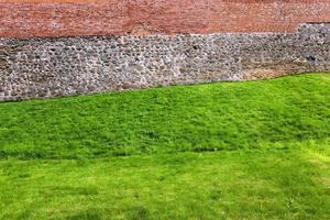 Gras an der Festung foto