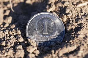 Münze auf dem Boden