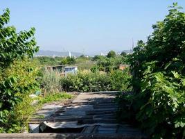 kleine Streuobstwiesen in der Nähe einer Großstadt foto