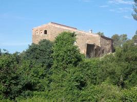 Üppige Vegetation in den Bergen von Collcerola Pulmon der Stadt Barcelona und Umgebung, Spanien foto