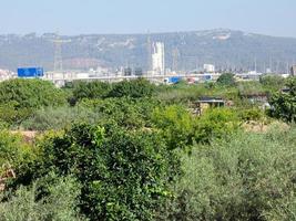 kleine Streuobstwiesen in der Nähe einer Großstadt foto