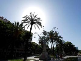 Palmen silhouettiert gegen einen Hintergrund des blauen Himmels foto