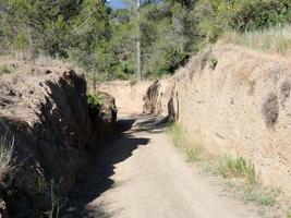 Feldweg zwischen hellen Erdwällen foto