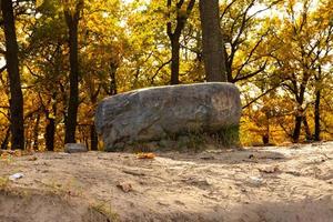 herbstlandschaft mit einem eichenhain mit einem riesigen felsblock, stein, im oktober. foto