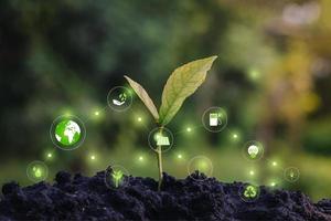 esg03junge Pflanze vor grüner Natur hinterlässt Hintergrund mit Symbolen Energiequellen für erneuerbare, Ökologie und Umweltkonzept foto