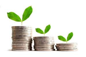grüne blattpflanze auf sparen geldmünzen, geschäftsfinanzierung sparen bankinvestitionskonzept. foto