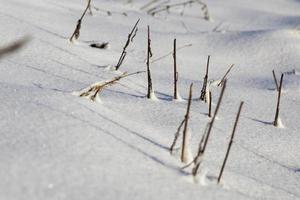 Winterzeit, Feld foto