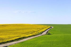 Frühlingslandschaft, Straße foto