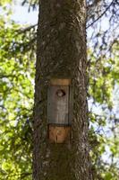 Vogelhaus im Park foto