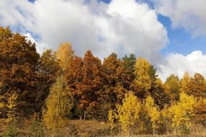 Natur in der Herbstsaison foto