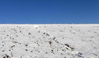 Winterlandschaft, ein Feld foto