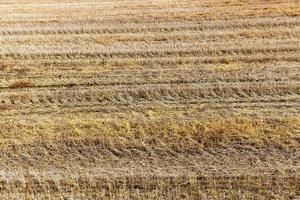 landwirtschaftliches Feld und blauer Himmel foto