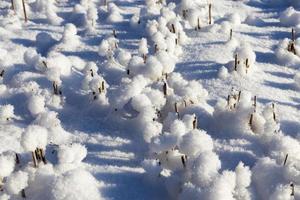 Schneeverwehungen im Winter foto