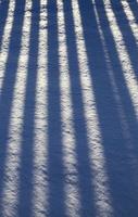 dünne und lange gestreifte Schatten foto