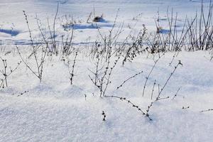 schneebedecktes Feld foto