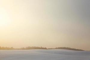 Wald im Winter, Dämmerung foto