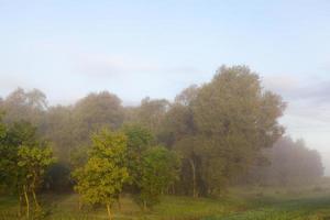 Nebel Nebellandschaft foto