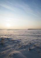 schneebedecktes Feld foto