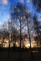 Park bei Sonnenuntergang foto