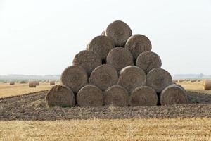 Stapel Stroh auf dem Feld foto