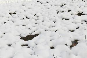 nach schneefall liegender schnee foto