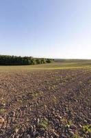 Straßenlandschaft, Feld foto