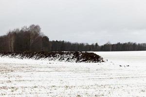 Wintersaison. Foto