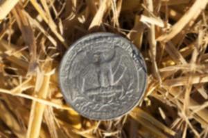 Münze im Stroh foto