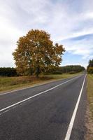 die Herbststraße foto