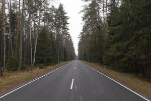 Asphaltstraße, Wald foto