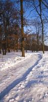 die Winterstraße foto