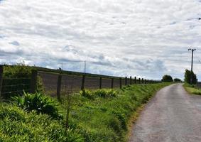 unbefestigte Landstraße neben einem bestellten Feld foto