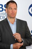 Los Angeles, 19. Mai - Michael Weatherly bei der CBS Summer Soiree im London Hotel am 19. Mai 2014 in West Hollywood, ca foto