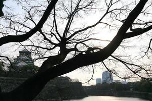 Burg von Osaka in Osaka, Japan foto