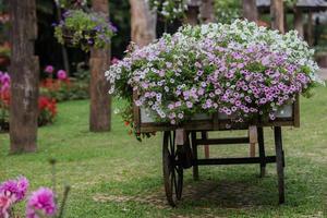 Blumen auf dem Wagen foto