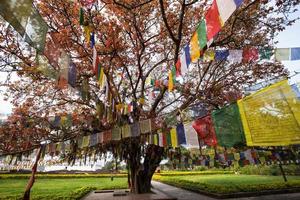 buddhistische betende Fahnen in Lumbibi, Nepal foto