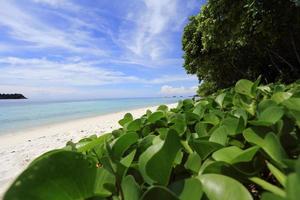 schöner tropischer Strand und Himmel foto