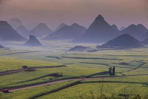 gelbes rapsblumenfeld mit dem nebel in luoping, china foto