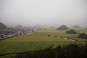 gelbes rapsblumenfeld mit dem nebel in luoping, china foto