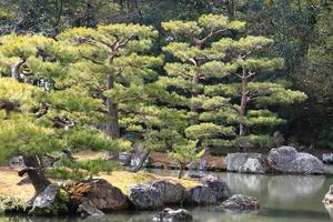 Japanischer Garten am berühmten Kinkakuji foto