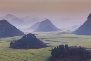 gelbes rapsblumenfeld mit dem nebel in luoping, china foto