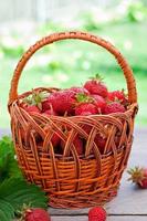 Frische Erdbeeren in einem Korb auf einem Tisch im Garten foto