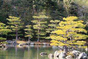 Japanischer Garten am berühmten Kinkakuji foto