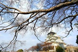 Burg von Osaka in Osaka, Japan foto